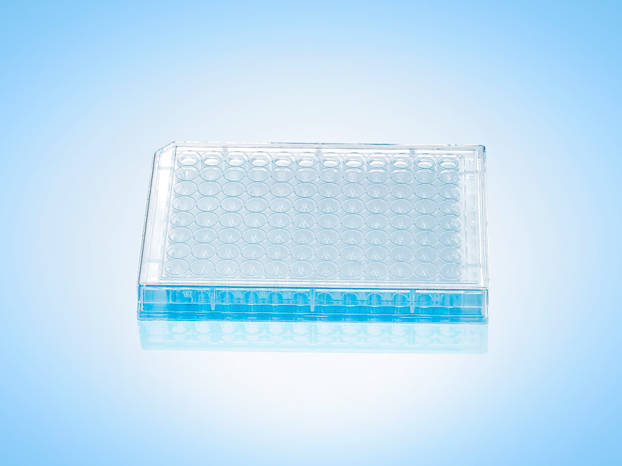 cell culture plates